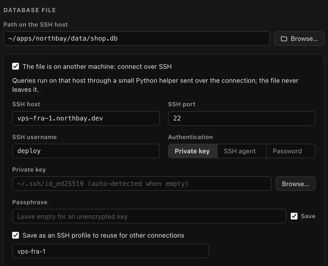 The connection form with “The file is on another machine: connect over SSH” ticked, and fields for the SSH host, port, username and key